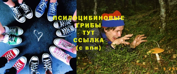 2c-b Бородино