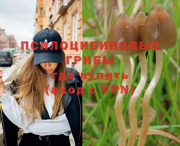 2c-b Бородино