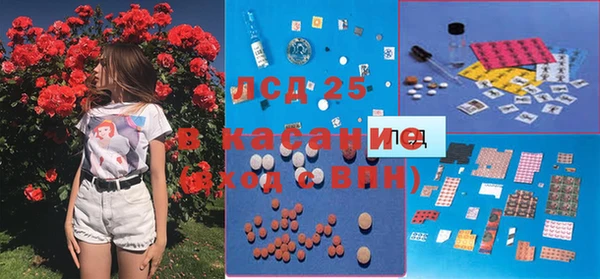 2c-b Бородино