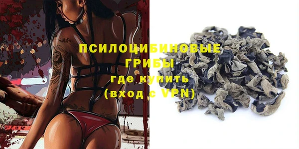 2c-b Бородино