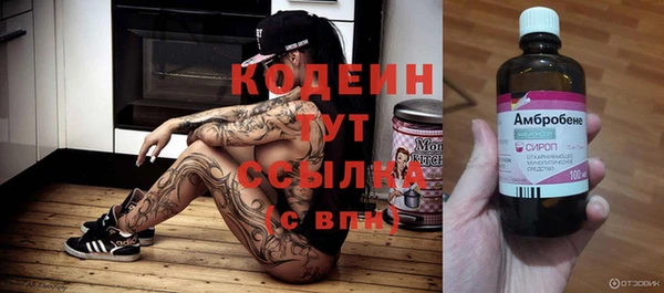 2c-b Бородино