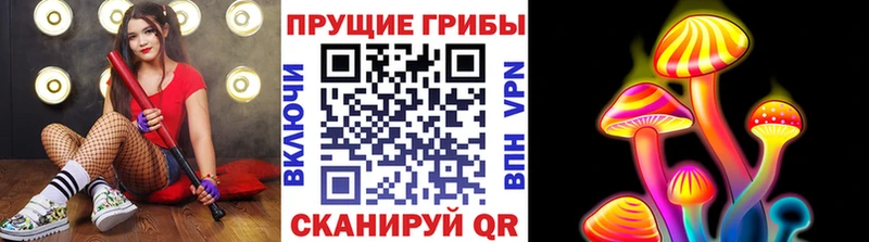 Галлюциногенные грибы Psilocybine cubensis Клин