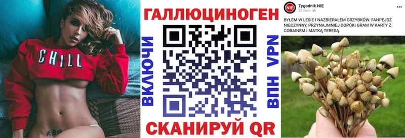 Купить где  Клин  Псилоцибиновые грибы MAGIC MUSHROOMS 
